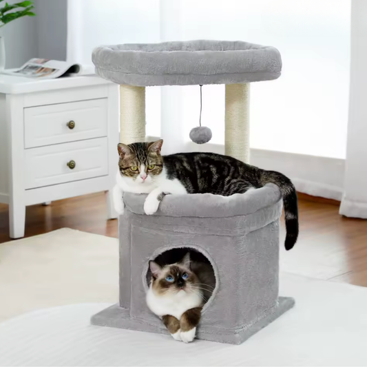 Arbre à chat deux étages