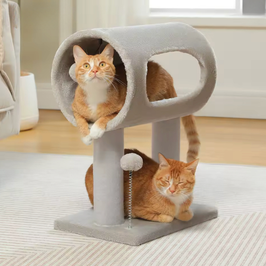 Arbre à chat tunnel