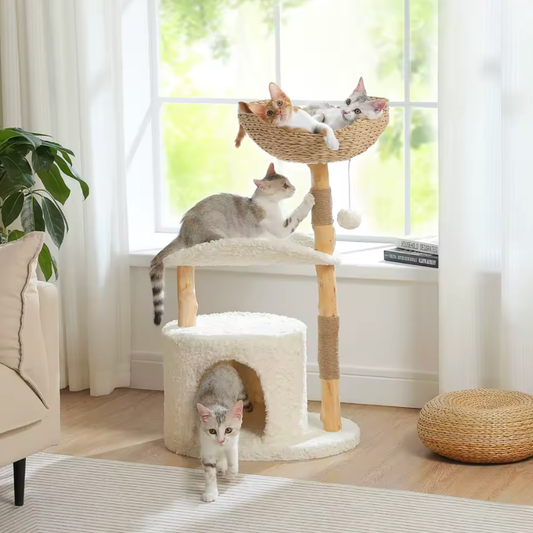 Arbre à chat blanc et en bois